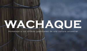 Conservación Internacional Perú