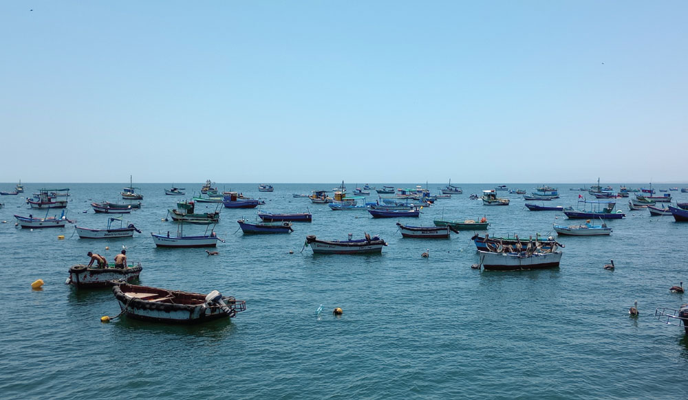 Créditos: Fotografía de Sarai Cortez.